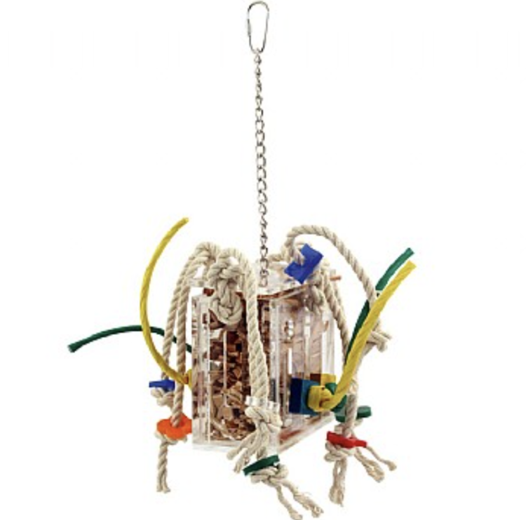 Crazy Box S- zabawka dla małych papug od ParrotPlanet.pl