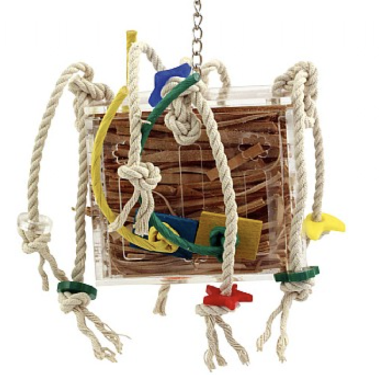 Crazy Box S- zabawka dla małych papug od ParrotPlanet.pl