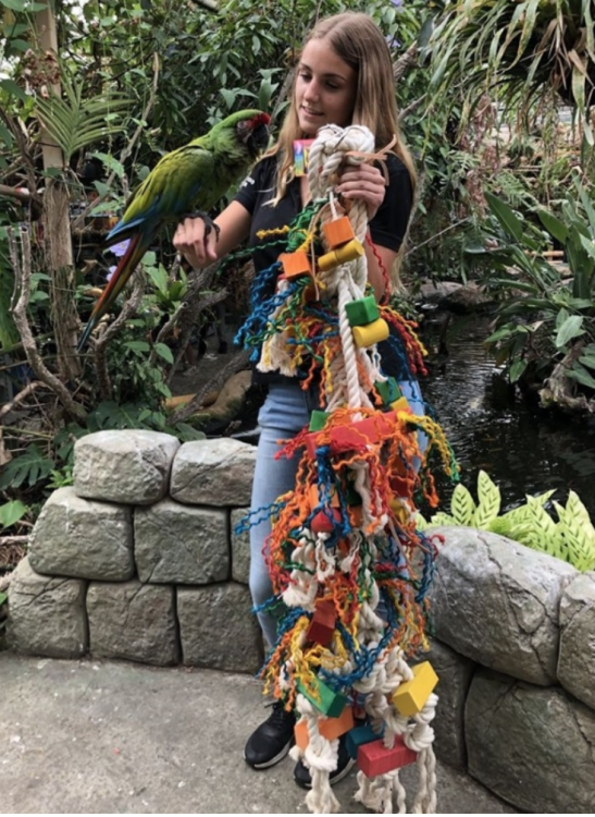 Prawdopodobnie największa na świecie zabawka dla papug 165cm - 15 kg !! OD PARROTPLANET.PL