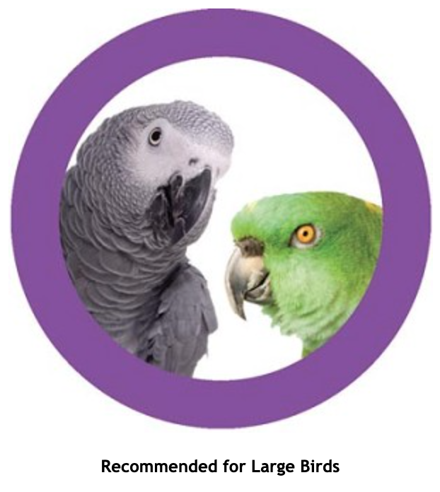 Tęczowy akordeon - dla średnich i dużych papug od ParrotPlanet.pl