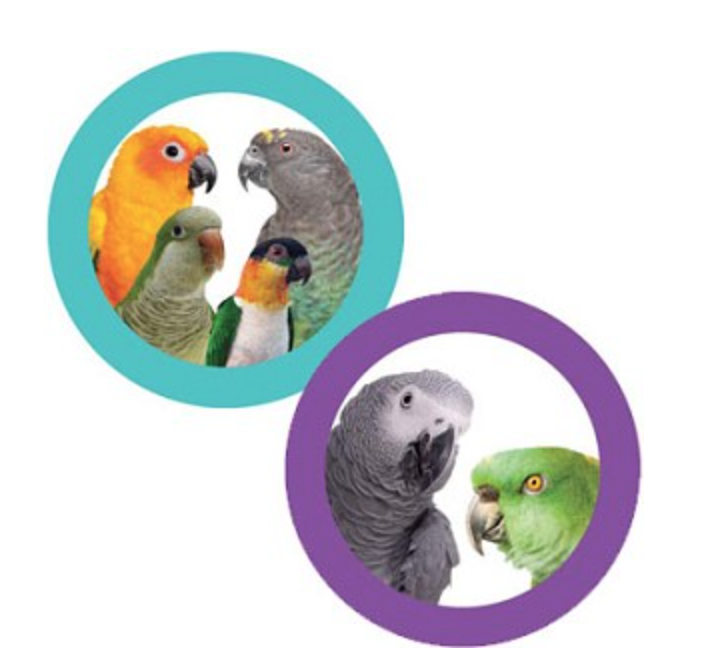 Super Bird Creation BIRDS Size.png