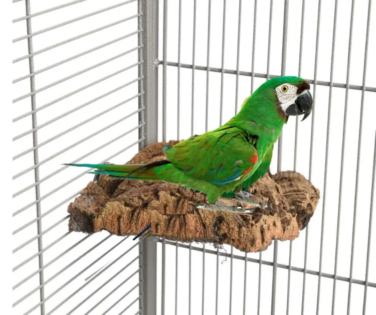 Narożna żerdź, z kory dębu korkowego rozmiar M - dla średnich papug  od ParrotPlanet.pl