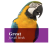 Browns Tropical Carnival Natural Orange Slices Pet Bird Treats - Plastry pomarańczy - naturalna witamina C dla wszystkich papug 21g od ParrotPlanet.pl