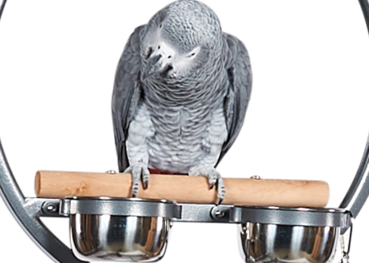 Zrzut ekranu 2021-08-4 o 18.50.31.png