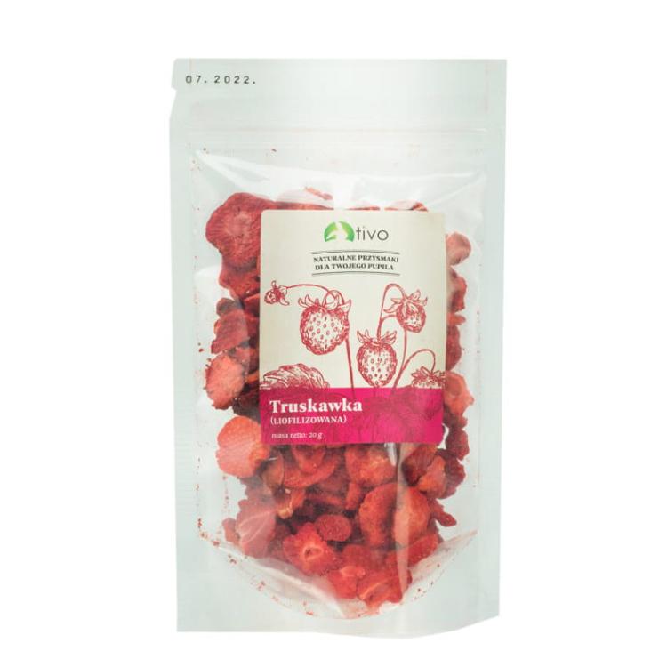 Chrupiąca truskawka liofilizowana dla papug – naturalny przysmak owocowy | 20 g od parrotPlanet.pl