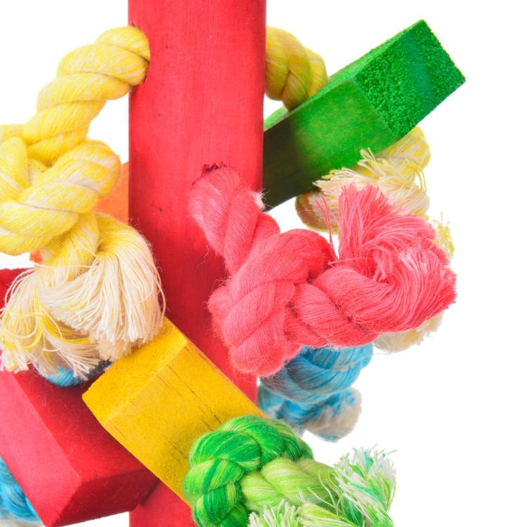 3 w 1 - zabawka dla wszystkich PaPug od ParrotPlanet.pl