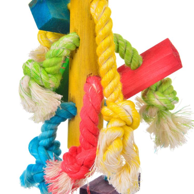 3 w 1 - zabawka dla wszystkich PaPug od ParrotPlanet.pl