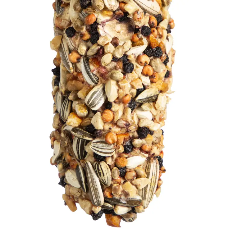 Kolby WAGNER Owocowo-orzechowe Rozkosz JUMBO XL- kolba Fruit & Nut 250g od ParrotPlanet.pl