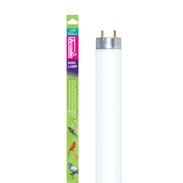 Arcadia Bird Lamp T8 2,4% UVB+12% UVA 5800K - lampa dla papug 90 cm od ParrotPlanet.pl