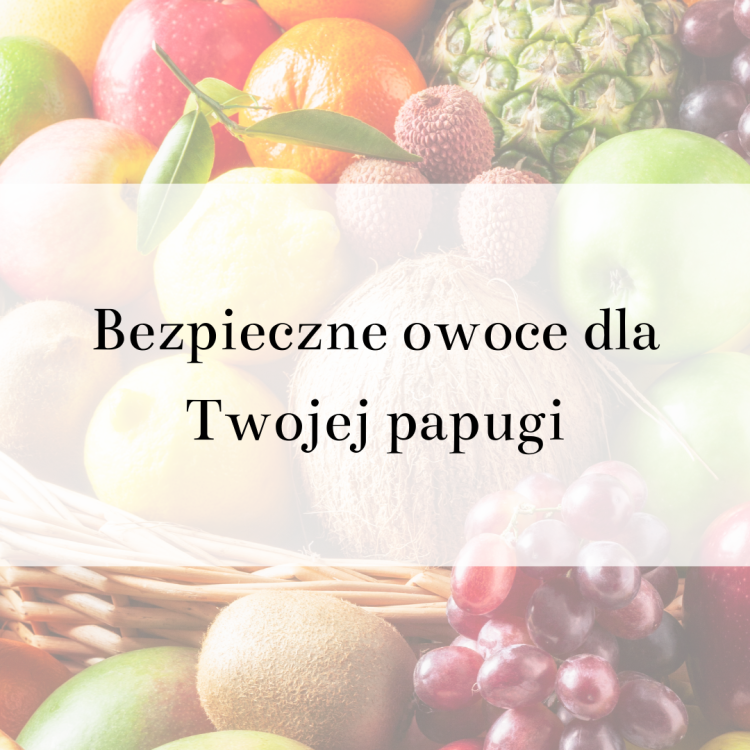 Poradnik ParrotPlanet- BEZPIECZNE OWOCE DLA TWOJEJ PAPUGI