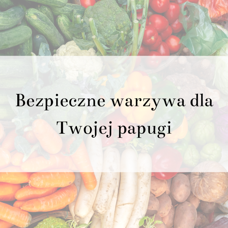 Poradnik ParrotPlanet- BEZPIECZNE WARZYWA DLA TWOJEJ PAPUGI