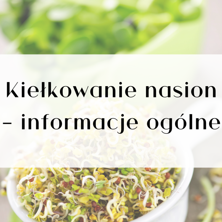 Poradniki ParrotPlanet.pl - kiełkowanie.png