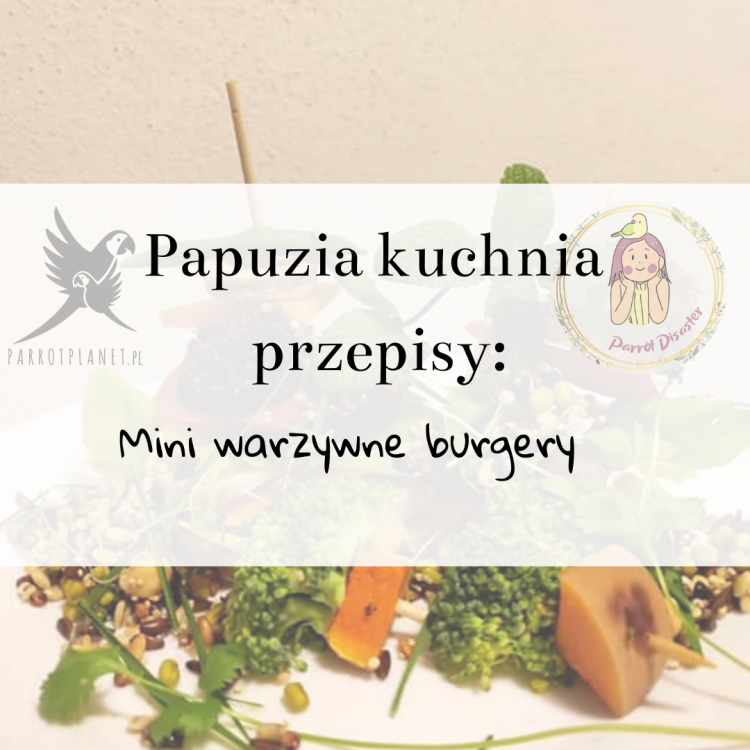 PaPuzia Kuchnia ParrotPlanet- MINI WARZYWNE BURGERY - Autorski Przepis Adzioszki z Parrot Disaster