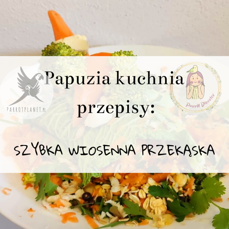 PAPUZIA Kuchnia ParrotPlanet- SZYBKA WIOSENNA PRZEKĄSKA - Autorski Przepis Adzioszki z Parrot Disaster