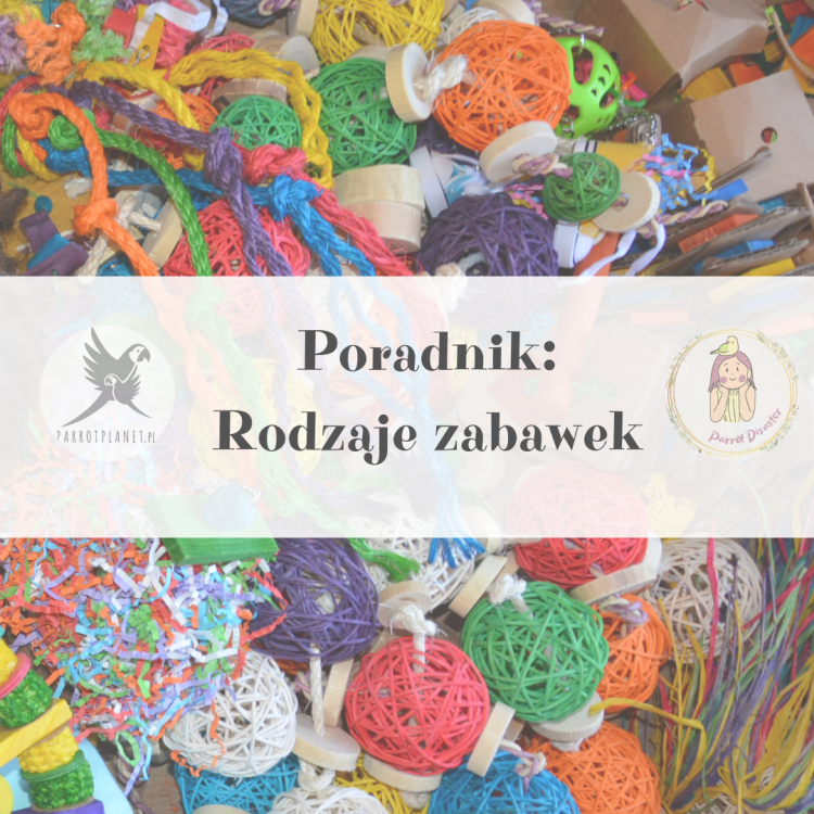 Poradnik ParrotPlanet - Poradnik Początkującego Papuziarza - RODZAJE ZABAWEK DLA PAPUG