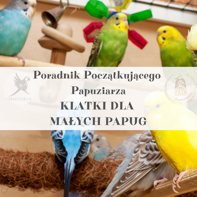 Poradnik ParrotPlanet - Poradnik Początkującego Papuziarza - Klatki dla Małych Papug