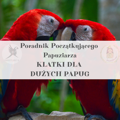 Poradnik ParrotPlanet - Poradnik Początkującego Papuziarza - Klatki dla dużych Papug