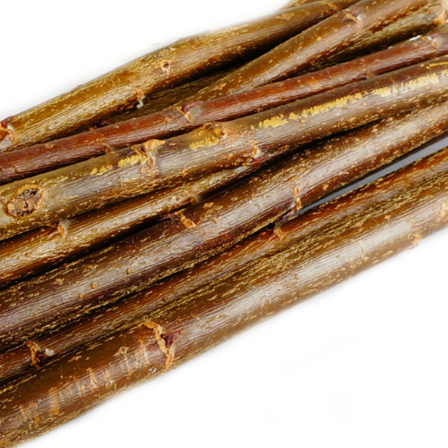 Wiklinowe Gałązki - dla wszystkich papug 100g od ParrotPlanet.pl