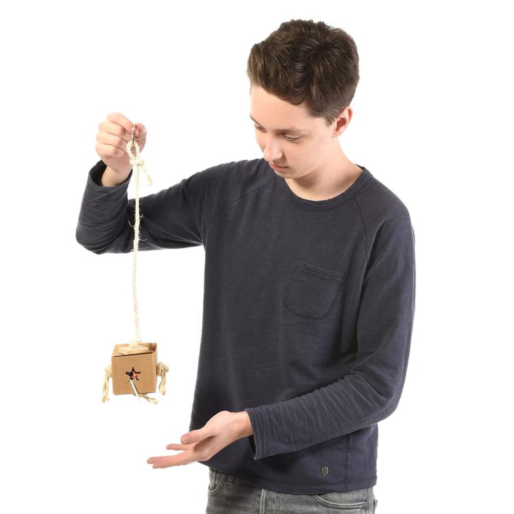 Zabawka Sześcian M - dla średnich papug od ParrotPlanet.pl