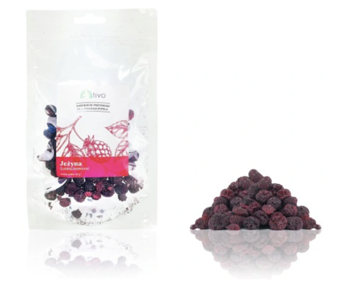 Chrupiąca jeżyna liofilizowana dla papug – naturalny przysmak owocowy | 20 g od ParrotPlanet.pl