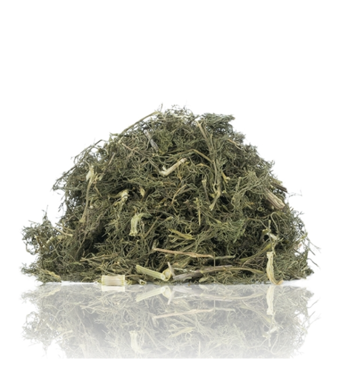 TIVO Koper włoski dla papug – naturalny dodatek ziołowy | 150 g od ParrotPlanet.pl