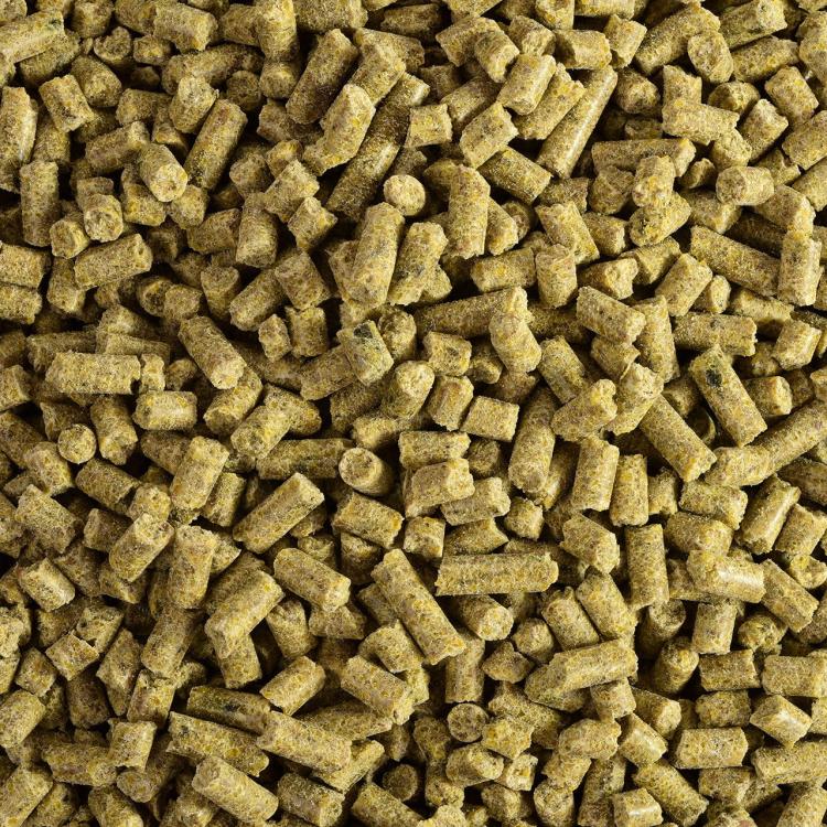 Wagner's Pellets- Granulat zimnotłoczony Wagner's dla małych papug 750g od ParrotPlanet.pl