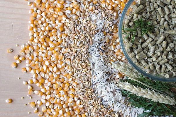 Wagner's Pellets- Granulat zimnotłoczony Wagner's dla małych papug 750g od ParrotPlanet.pl