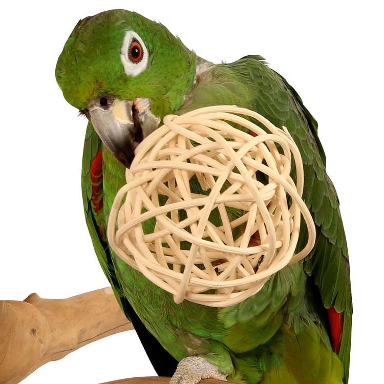 Naturalna Piłka Wiklinowa Medium- zabawka do łapki 9cm od ParrotPlanet.pl