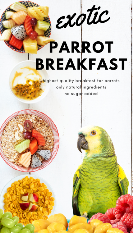 HOT EXOTIC Parrot Breakfast - Papuzie danie śniadaniowe, lub obiadowe na ciepło dla wszystkich papug 150g od ParrotPlanet.pl