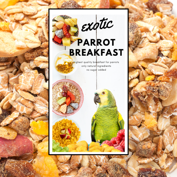 HOT EXOTIC Parrot Breakfast - Papuzie danie śniadaniowe, lub obiadowe na ciepło dla wszystkich papug 150g od ParrotPlanet.pl