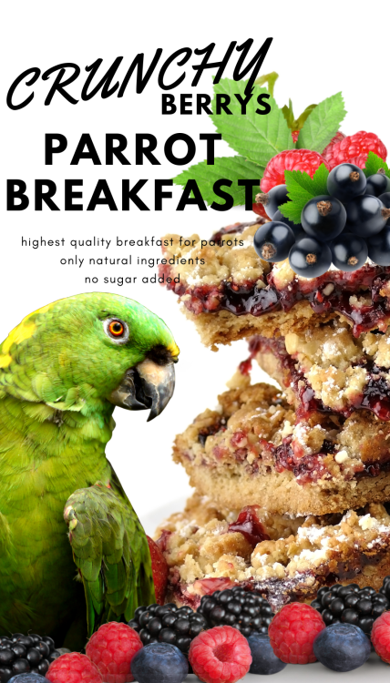 Crunchy Berry Parrot Breakfast - Papuzie danie śniadaniowe, lub obiadowe na ciepło lub zimno dla wszystkich papug 100g od ParrotPlanet.pl