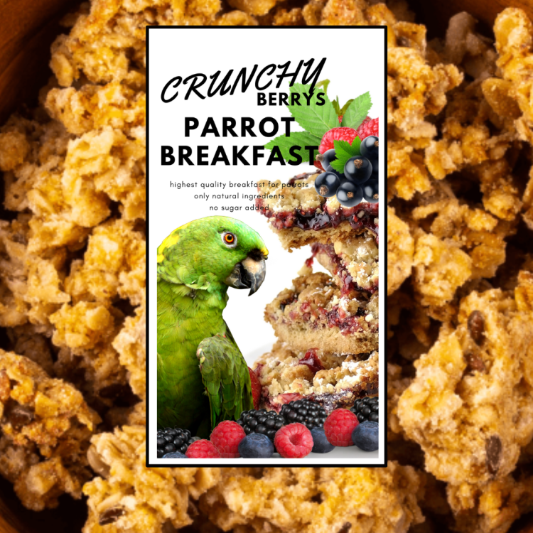 Crunchy Berry Parrot Breakfast - Papuzie danie śniadaniowe, lub obiadowe na ciepło lub zimno dla wszystkich papug 100g od ParrotPlanet.pl
