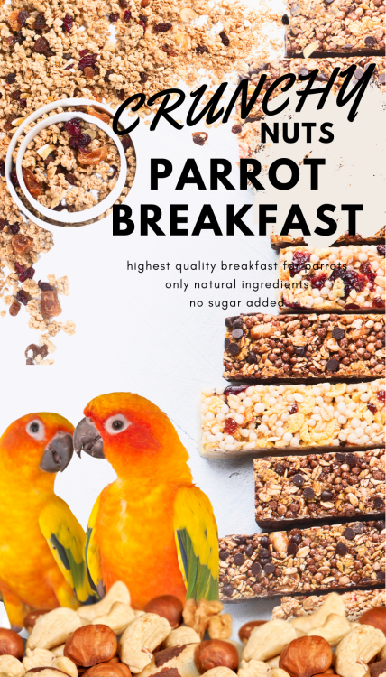 Crunchy Nuts Parrot Breakfast - Papuzie danie śniadaniowe, lub obiadowe na ciepło lub zimno dla wszystkich papug 100g od ParrotPlanet.pl