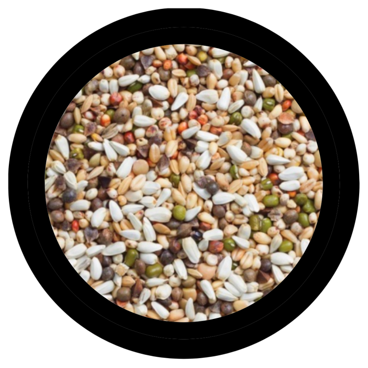 Deli Nature 33 - Mieszanka do kiełkowania dla wszystkich PaPug 15kg od ParrotPlanet.pl