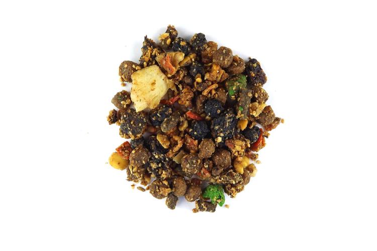 Claus Sugar Glider Futter - Pokarm dla Lotopałanek 750g od ParrotPlanet.pl