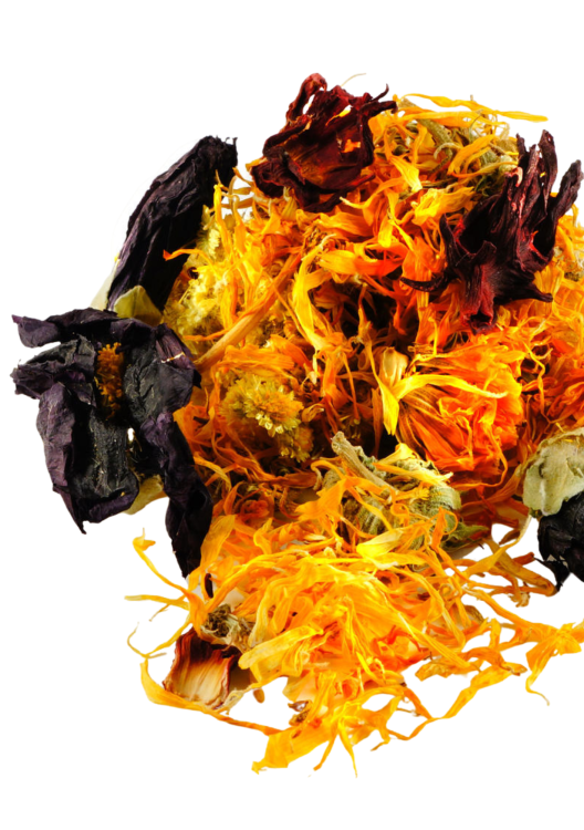 Kwiatowa Pyszność - dla wszystkich papug 40g od ParrotPlanet.pl