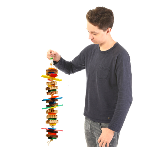 MiszMasz- zabawka dla średnich i dużych papug od ParrotPlanet.pl