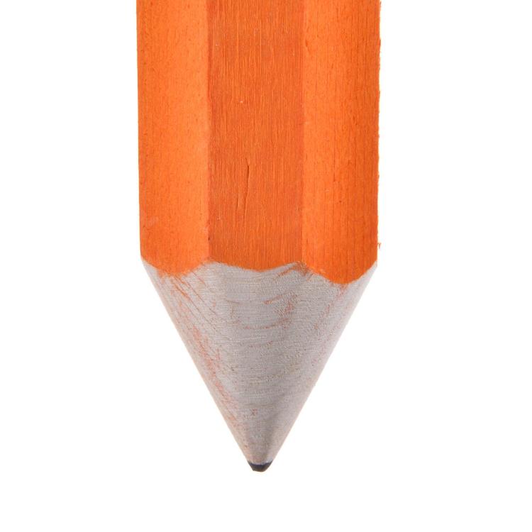 Zabawka Wiszący Ołówek XXL od ParrotPlanet.pl