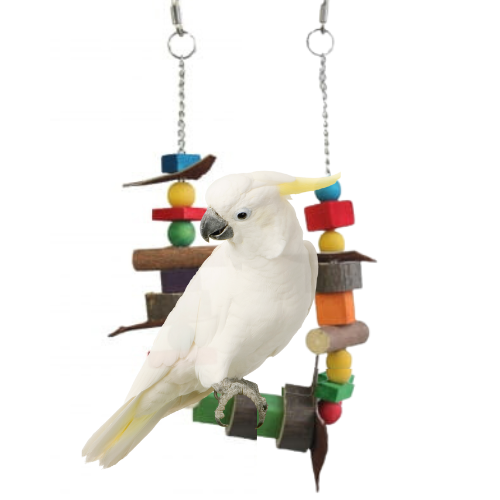 Podwójnie wieszane - drewniana zabawka dla większych i średnich papug od ParrotPlanet.pl