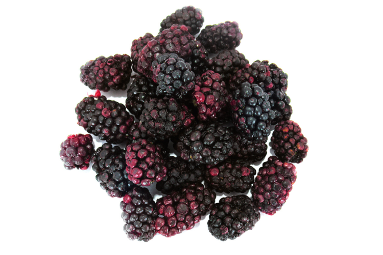 Chrupiąca jeżyna liofilizowana dla papug – naturalny przysmak owocowy | 20 g od ParrotPlanet.pl