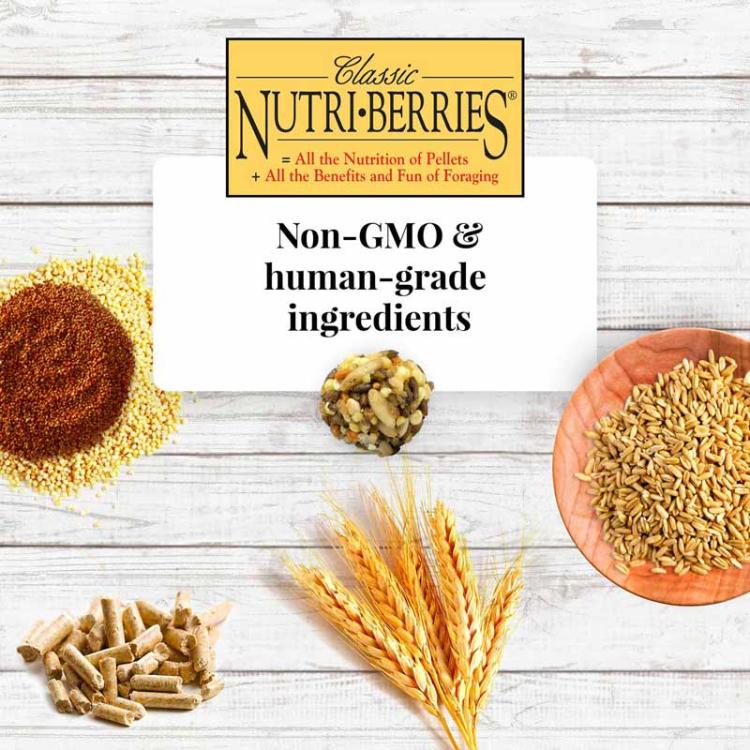 Lafeber NutriBerries Classic Cockatiel - Pokarm w kształcie kuleczek dla małych i średnich papug 1,81 kg WIADERKO