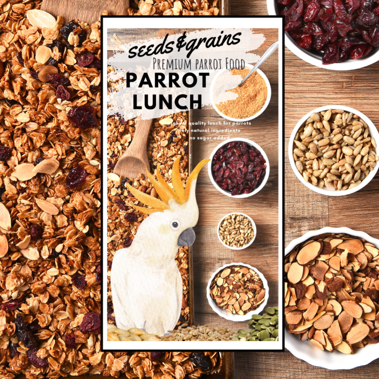 Seeds & Grains Parrot Lunch | Danie obiadowe lub śniadaniowe dla papug | Szybkie, zdrowe i pyszne | Na ciepło lub Zimno od ParrotPlanet.pl