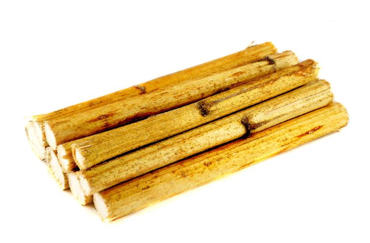 Gałązki Słonecznika | Łodygi dla wszystkich papug 50g od ParrotPlanet.pl