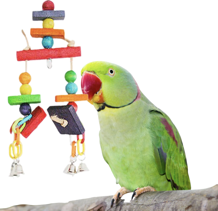 RIO | Drewniana Zabawka | Naturalna radość dla papug od ParrotPlanet.pl