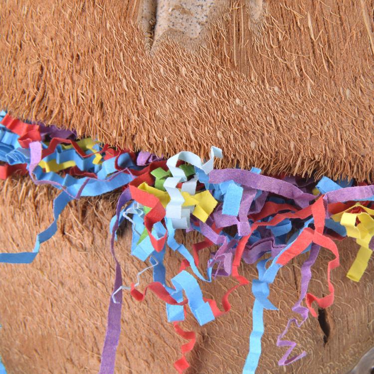 Kokos do żerowania | Naturalna i Bezpieczna zabawka dla papug od ParrotPlanet.pl