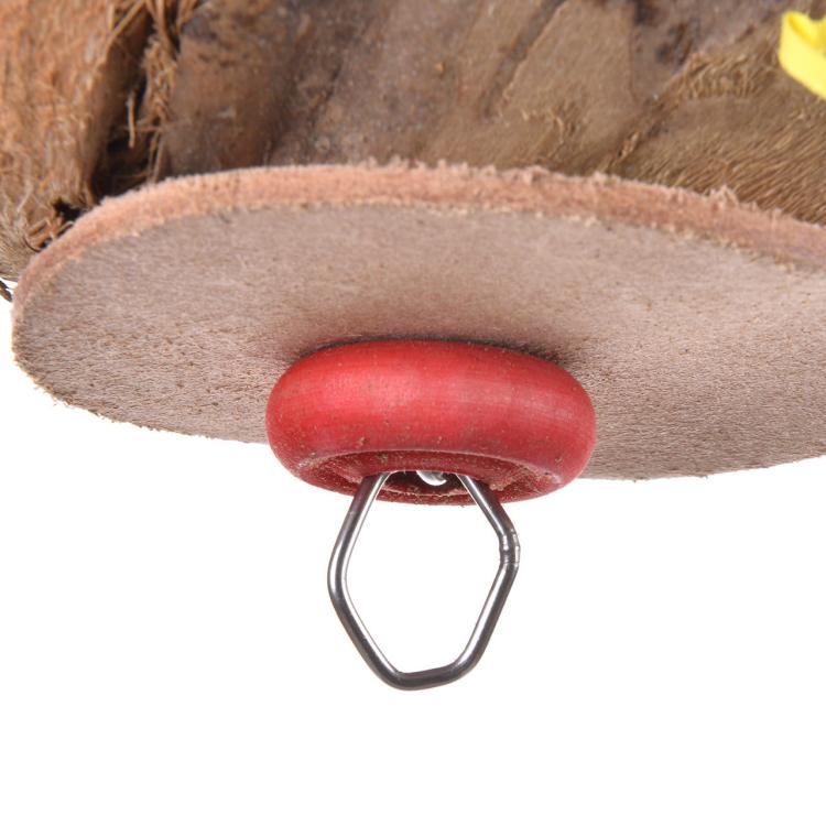 Kokos do żerowania | Naturalna i Bezpieczna zabawka dla papug od ParrotPlanet.pl