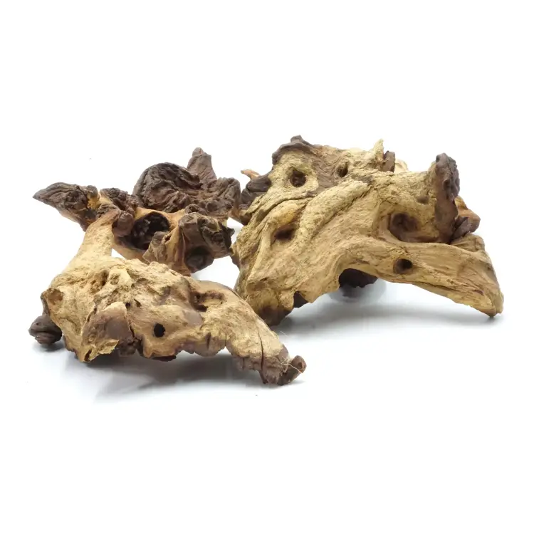 Naturalny Korzeń Mopani - dla Wszystkich Papug od ParrotPlanet.pl