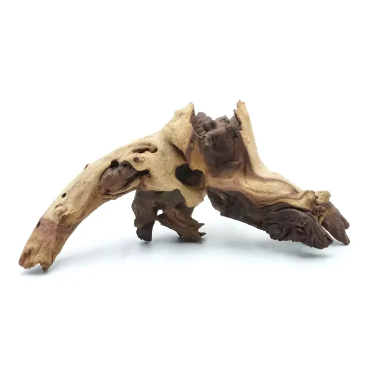 Naturalny Korzeń Mopani - dla Wszystkich Papug od ParrotPlanet.pl