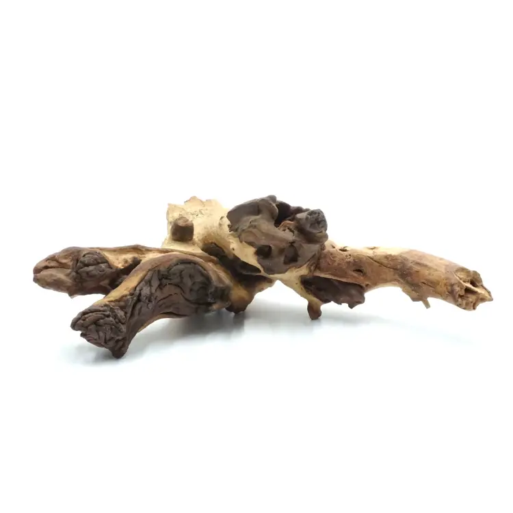 Naturalny Korzeń Mopani - dla Wszystkich Papug od ParrotPlanet.pl