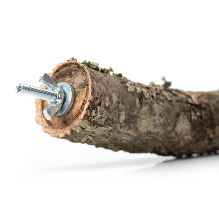 Naturalna żerdź z gałęzi Dębu korkowego S | dla małych i średnich papug | korek dla papugi od ParrotPlanet.pl